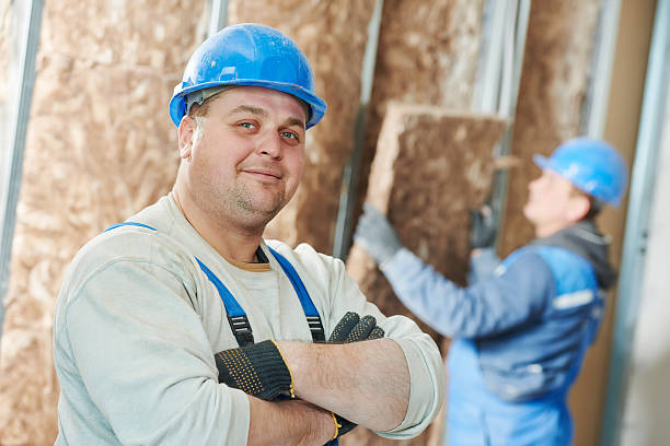 Best Eco-Friendly or Green Insulation Solutions  in Lakeshire, MO